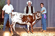 RM Polaris winning the All Age Champion female at the Montgomery County Fair 
